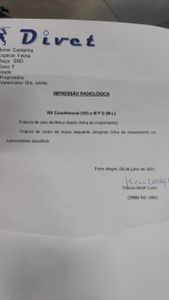 Porto Alegre/RS - Ajude no tratamento da Castanha, nossa gatinha!!!