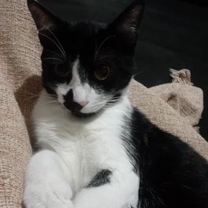 Vaquinha Online - Ajude o Júlio a viver