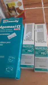 Ajude o Júlio a viver - Ajude o Júlio a viver