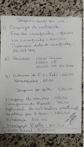 Ajude Heitor - Ajude o gatinho Heitor 