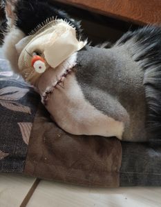 Brasília/DF - Ajuda pra custear as despesas médicas da Shabyska 