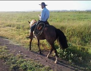 Saúde e Emergências - Me ajude a levantar