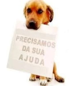 Vaquinha Online - Projeto Ajuda Animal 