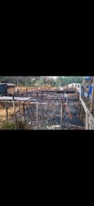 Porto Grande/AP - O INCENDIO DESTRUIU TUDO, AJUDE D. MARIA ADRIANA A RECOMEÇAR