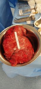 Fertilizando Vida imagem 6