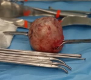 Fertilizando Vida - Fertilizando Vida