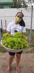 Projeto Simbiose  imagem 8