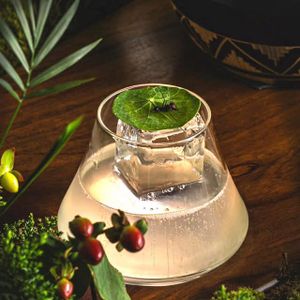 Crowdfunding - Criação do "Cauim Contemporâneo"