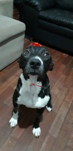 Vaquinha Online - Ajude a Nina a combater o câncer 