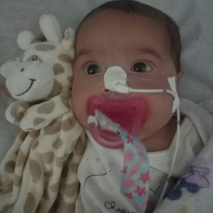 Vaquinha Online - Ame Maria Lua 