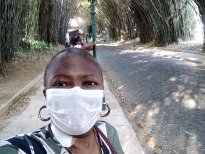 Ana Luísa Magalhães  - Livro testemunho Era o tempo de florescer 