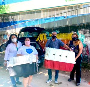 Dog’s Heaven e Você: Juntos podemos auxiliar os animais vítimas dos desastres em Petrópolis imagem 6