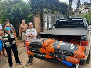 Dog’s Heaven e Você: Juntos podemos auxiliar os animais vítimas dos desastres em Petrópolis imagem 7