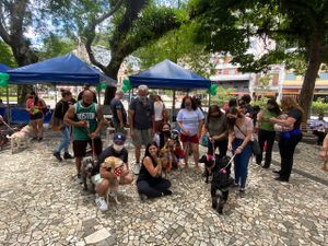 DOG’S HEAVEN ENTIDADE FILANTRÓPICA  - Dog’s Heaven e Você: Juntos podemos auxiliar os animais vítimas dos desastres em Petrópolis