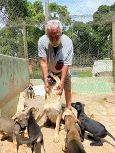 Financiamento Coletivo - Dog’s Heaven e Você: Juntos podemos auxiliar os animais vítimas dos desastres em Petrópolis