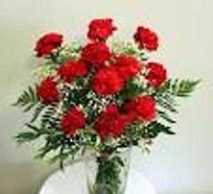 Ativismo - Meio ambiente e ativismo político