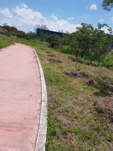 1º ECOS Pinheiral imagem 6