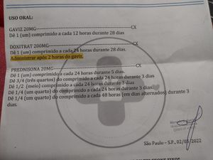 Ajude o Simba - Ajuda o Simba 