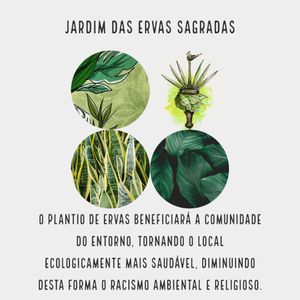 JARDIM DAS ERVAS SAGRADAS - SOS PIAÍ imagem 6