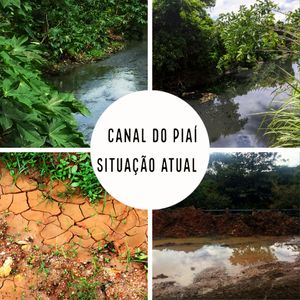 Rio de Janeiro/RJ - JARDIM DAS ERVAS SAGRADAS - SOS PIAÍ