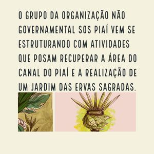 Meio ambiente - JARDIM DAS ERVAS SAGRADAS - SOS PIAÍ