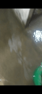 O sonho da casa própria imagem 8