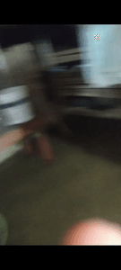 O sonho da casa própria imagem 9