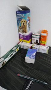 Vaquinha Online - Ajude esta filhote de husky