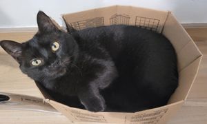 Eventos do Bem - Campanha Oprah