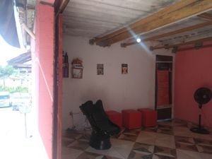 Franci Barboza - Salaodossonhos