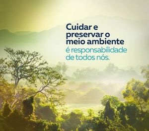 Projeto Educação Ambiental Tela Viva - Projeto Educação Ambiental Tela Viva - Ensinando Crianças a Amarem o Planeta