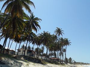 Vaquinha Online - Fotografando sonhos 