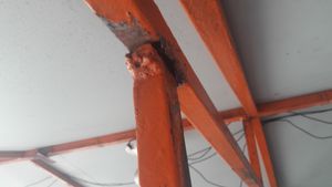 Amor ao próximo  imagem 6