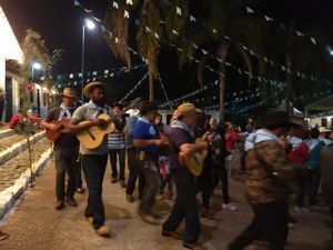 Crowdfunding - "Apoie a Cultura Popular: Vaquinha para a Festa de Santa Cruz"