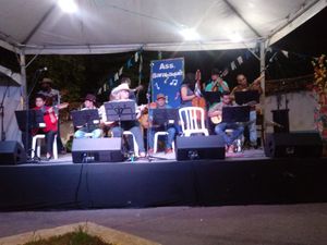 "Apoie a Cultura Popular: Vaquinha para a Festa de Santa Cruz" imagem 6