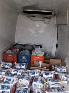 Levante esta bola 3! Projeto Sementeira de Amor imagem 6