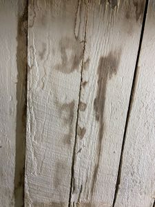 Rio de Janeiro/RJ - Ajude o Teiluz