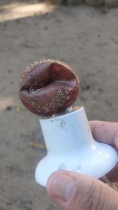 Ajude o Teiluz imagem 10