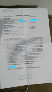 Animais - Veterinário Caramelo