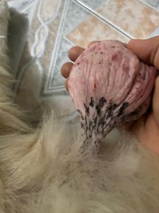 Vaquinha Online - Cirurgia de câncer de mama de Lessy