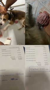 Cirurgia de câncer de mama de Lessy