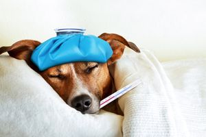 Ajuda eu a ser feliz