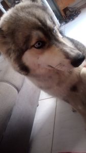 Festa de aniversário de um ano da ninas