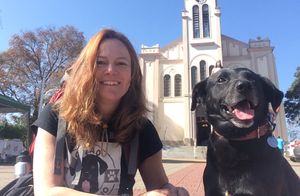 #saude-cao-peregrino