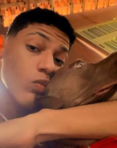 Salve um Pet: Apoie a Internação do Sansão