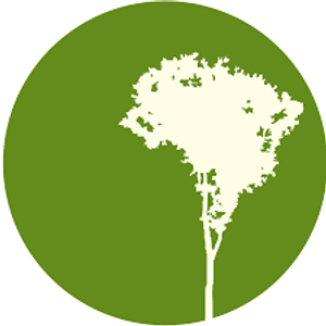 Instituto Terra: Pela Mata Atlântica | The Atlantic Forest and biodiversity needs your help