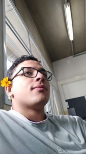 Ajude a nossa pequena empresa a continuar