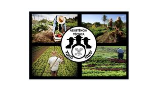 "CONDOMÍNIO DE ESTUFA # + ALIMENTO # + EMPREGO"