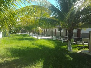 Só falta o da Ornamentação 