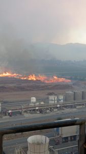 Help - Ayuda a los afectados por el incendio forestal en Chile